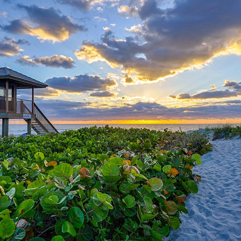 delray